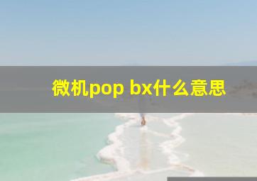 微机pop bx什么意思